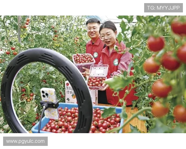 TY一直播：探索直播行业的新趋势与未来